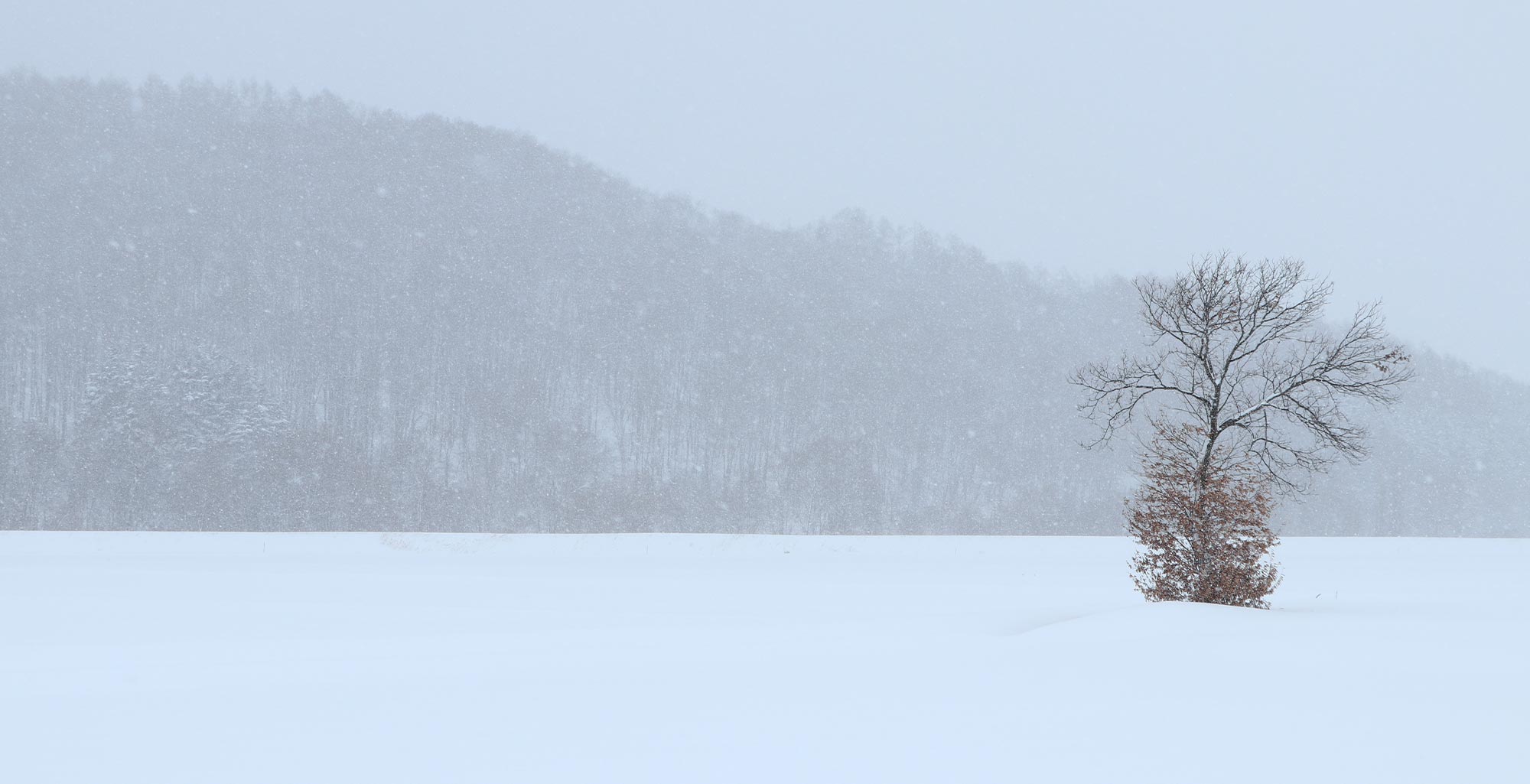 愛別町の雪景色